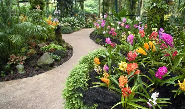 Orchid Garden date