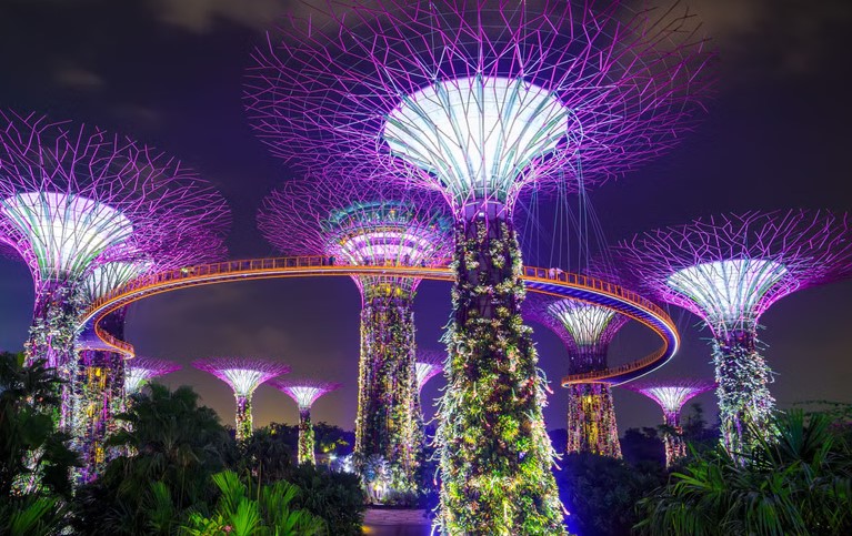 Romantic Supertree Grove